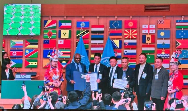 全球首张白茶类世界级